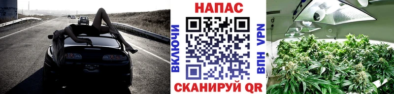 Каннабис индика  Верхний Уфалей 